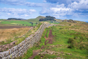 Hadrianswall, UNESCO-Welterbestätte, Henshaw, Hexham, Northumberland, England, Vereinigtes Königreich, Europa - RHPLF14970