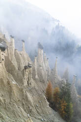 Bunte Bäume auf den Felsen der Erdpyramiden im Herbst, Perca (Percha), Provinz Bozen, Südtirol, Italien, Europa - RHPLF15021