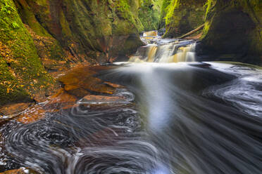 Gorge at The Devil's Pulpit, Finnich Glen, Stirlingshire, Schottland, Vereinigtes Königreich, Europa - RHPLF15056