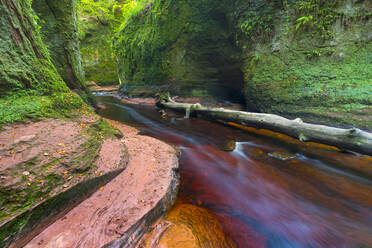 Gorge at The Devil's Pulpit, Finnich Glen, Stirlingshire, Schottland, Vereinigtes Königreich, Europa - RHPLF15057