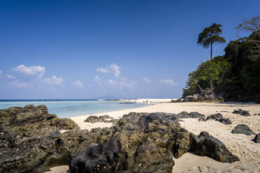 Felsiger Bambusstrand mit Palme, Maya Bay Phi Phi Island, Provinz Krabi, Thailand, Südostasien, Asien - RHPLF15087