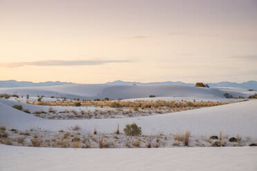 White Sands National Park in der Nähe von Alamogordo, New Mexico, Vereinigte Staaten von Amerika, Nordamerika - RHPLF15103