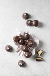 Schokoladenpralinen mit Vanille-Ganache - MYF02269