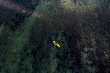 Mauritius, Black River, Flic-en-Flac, Helicopter view of paddleboard floating in coastal water - AMF08058