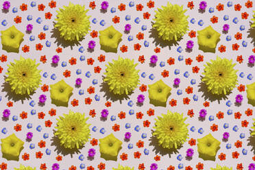 Pattern of colorful flower heads - GEMF03650