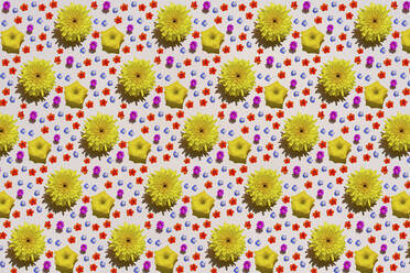 Pattern of colorful flower heads - GEMF03651
