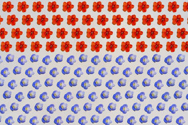 Muster aus Reihen von blauen und roten Blütenköpfen - GEMF03659