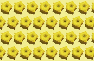 Muster aus Reihen gelber Blütenköpfe - GEMF03660