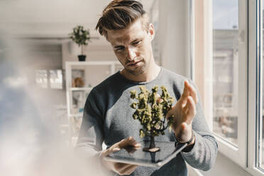 Young entrpreneur balancing tree on digital tablet in his office - KNSF08015