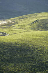 Luftaufnahme einer Frau in grüner Landschaft an einem sonnigen Tag, Corvo, Azoren, Portugal - FVSF00237
