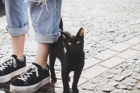 Porträt einer streunenden Katze durch eine Frau, die auf einem Fußweg steht, Corvo, Azoren, Portugal - FVSF00240