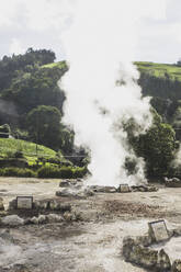 Rauch, der von Fumarolen ausgeht; Furnas, San Miguel, Azoren, Portugal - FVSF00249