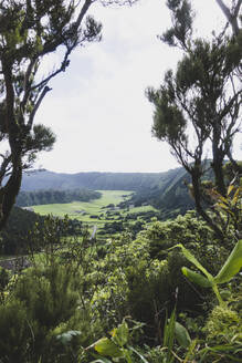 Blick auf die grüne Landschaft gegen den Himmel an einem sonnigen Tag, Sete Cidades, San Miguel, Azoren, Portugal - FVSF00251