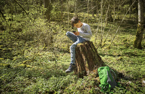 Junge in voller Länge auf einem Baumstumpf sitzend, während er beim Wandern im Wald der Schwäbischen Alb sein Smartphone benutzt, lizenzfreies Stockfoto