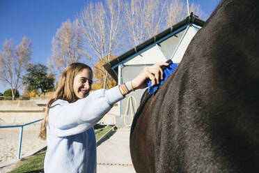 Cheerful young girl standing and using brush on big chestnut horse at ranch - ABZF03099