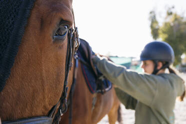 Close-up portrait of brown horse by teenage girl adjusting saddle on training ground - ABZF03104