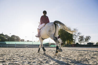 Rear view of girl riding white horse on training ground at ranch during sunny day - ABZF03107