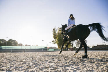 Rear view of girl riding horse on training ground at ranch during sunny day - ABZF03108