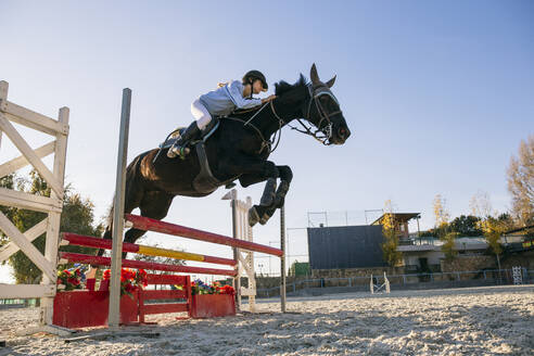 Low angle view of jockey riding horse over hurdle on training ground against clear sky - ABZF03112