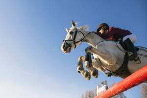 Low angle view of girl riding white horse while jumping over hurdle during training obstacle course against clear blue sky - ABZF03115