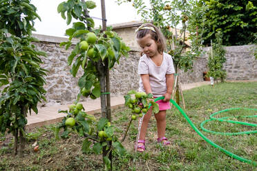 Kleines Mädchen bewässert Apfelbaum im Garten - MGIF00929