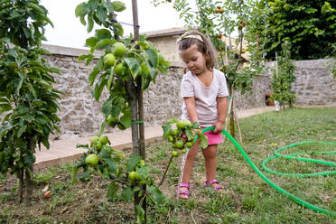 Little girl watering apple tree in the garden - MGIF00929