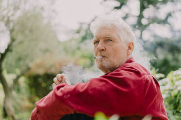 Älterer Mann im Ruhestand raucht Marihuana, während er im Obstgarten sitzt - AFVF06231
