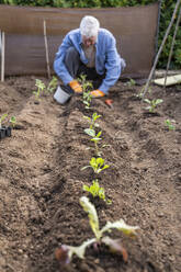 Aktiver älterer Mann bei der Gartenarbeit im Obstgarten in voller Länge - AFVF06237