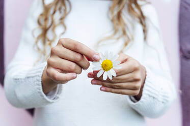 Midsection of girl holding fresh white daisy flower during springtime - JCMF00717