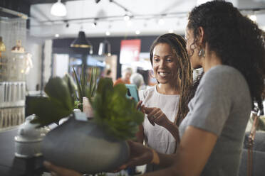 Frauen beim Einkaufen, mit einer Sukkulentenpflanze in einem Geschäft für Wohnkultur - CAIF27391