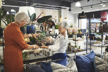 Senior women shopping in home decor shop - CAIF27392