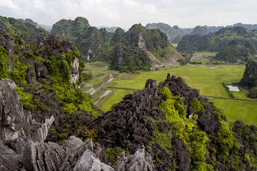 Vietnam, Provinz Ninh Binh, Ninh Binh, Blick auf bewaldete Karstformationen im Hong River Delta - MAUF03389