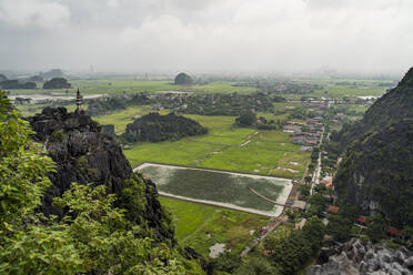 Vietnam, Provinz Ninh Binh, Ninh Binh, Reisfeld im Hong River Delta - MAUF03393