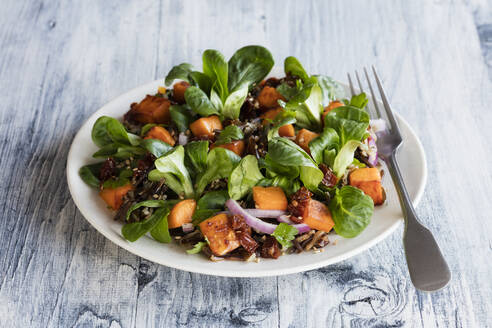 Plate of sweet potato salad with wild rice and corn salad - EVGF03605