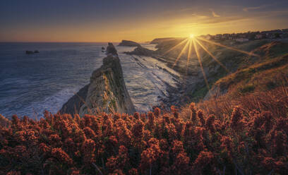 Spain, Cantabria, Heather blooming at edge of coastal cliff at sunrise with Urros de Liencres in background - DVGF00087