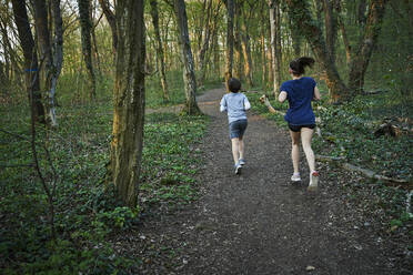 Rückansicht von Geschwistern beim Joggen inmitten von Bäumen im Wald in voller Länge - AUF00381