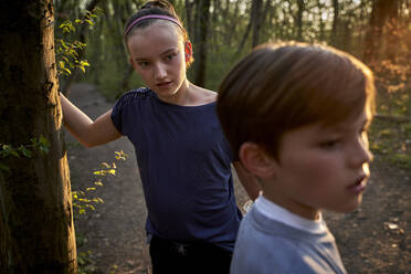 Girl standing by tree trunk while looking at brother in forest - AUF00384