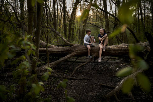 Full length of smiling siblings talking while sitting on fallen tree in forest - AUF00391
