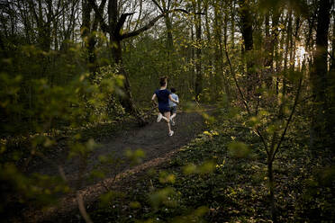 Volle Länge Rückansicht von Geschwistern joggen im Wald - AUF00392