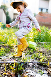 Full length of girl playing at orchard - GEMF03680