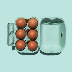 Studio shot of chicken eggs in turquoise colored carton - GEMF03693