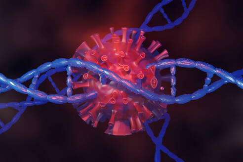 Dreidimensionale Darstellung einer einzelnen Coronaviruszelle und einer DNA-Helix - SPCF00653