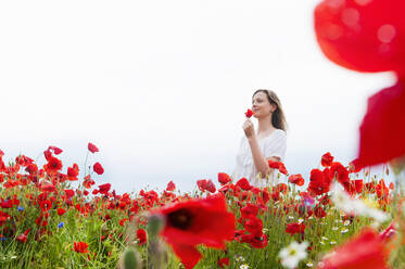 Lächelnde schöne Frau mit roter Mohnblume auf einem Feld vor klarem Himmel - DIGF10474
