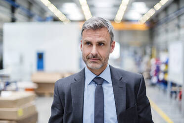 Portrait of a mature businessman in a factory - DIGF10551