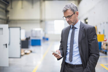 Reifer Geschäftsmann benutzt Mobiltelefon in einer Fabrik - DIGF10556