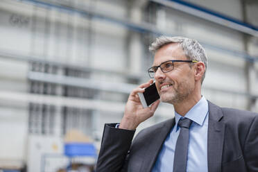 Lächelnder Geschäftsmann am Telefon in einer Fabrik - DIGF10559