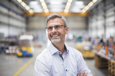 Portrait of a happy mature businessman in a factory - DIGF10640