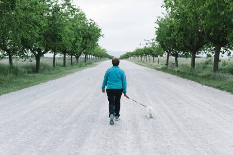 Rückansicht einer älteren Frau, die mit ihrem Hund in einer Gasse Gassi geht, lizenzfreies Stockfoto