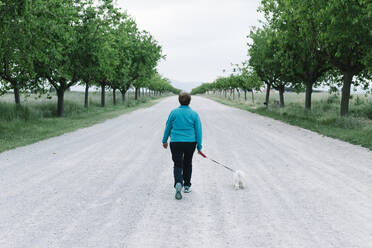 Rückansicht einer älteren Frau, die mit ihrem Hund in einer Gasse Gassi geht - XLGF00149
