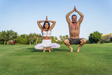 Mature couple doing yoga on lawn in sunshine together - DLTSF00655